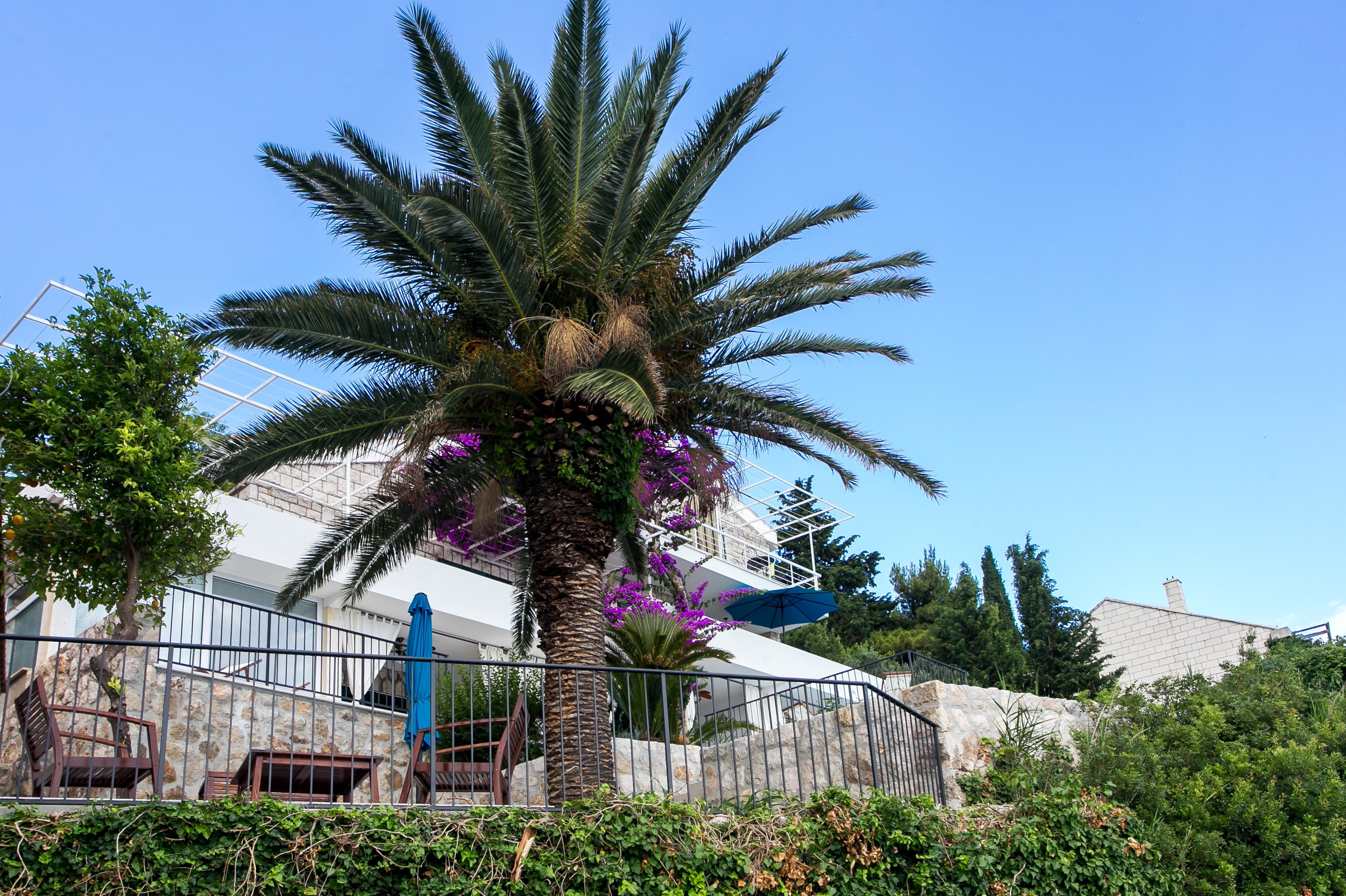 Apartments Villa Mirjana Mlini Exterior photo